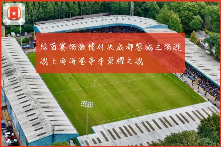 绿茵赛场激情对决成都蓉城主场迎战上海海港争夺荣耀之战